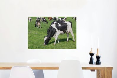 Glasbilder - 90x60 cm - Kuh - Tiere - Gras - Sonne (Gr. 90x60 cm)