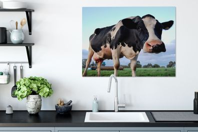 Leinwandbilder - 80x60 cm - Kuh - Bauernhof - Gras - Tiere (Gr. 80x60 cm)