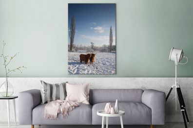 Leinwandbilder - 80x120 cm - Schottischer Highlander - Licht - Schnee (Gr. 80x120 cm)