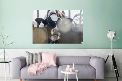 Glasbilder - 120x80 cm - Kuh - Stall - Licht (Gr. 120x80 cm)