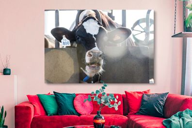 Leinwandbilder - 150x100 cm - Kuh - Stall - Licht (Gr. 150x100 cm)