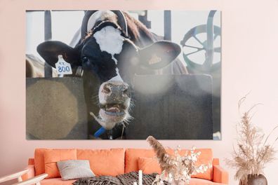 Glasbilder - 150x100 cm - Kuh - Stall - Licht (Gr. 150x100 cm)