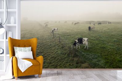 Fototapete - 450x300 cm - Kühe - Nebel - Friesland (Gr. 450x300 cm)