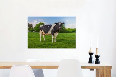 Glasbilder - 60x40 cm - Kuh - Gras - Tiere (Gr. 60x40 cm)