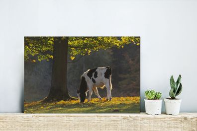 Glasbilder - 30x20 cm - Kuh - Licht - Baum (Gr. 30x20 cm)