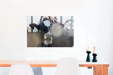 Glasbilder - 60x40 cm - Kuh - Stall - Licht (Gr. 60x40 cm)