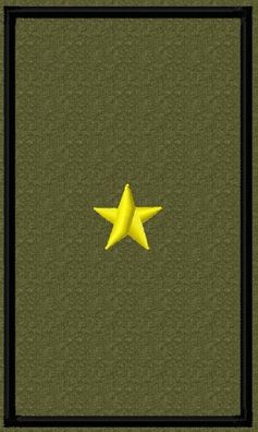1 Paar BW Rangabzeichen, Klett, Hintergrund Oliv, Marine