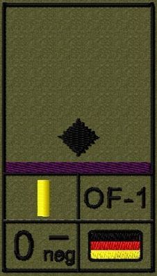 Bundeswehr Rangabzeichen Klett mit Bordeauxer Litze, Blutgruppe, Leutnant