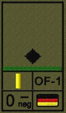 Bundeswehr Rangabzeichen Klett mit Grüner Litze, Blutgruppe, Leutnant