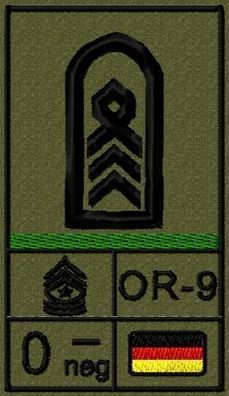Bundeswehr Rangabzeichen Klett mit Grüner Litze, Blutgruppe, Oberstabsfeldwebel
