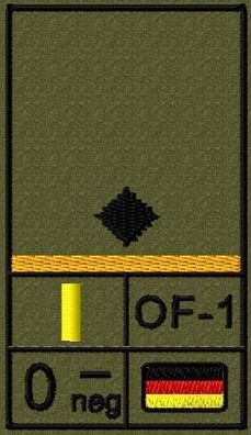 Bundeswehr Rangabzeichen Klett, Goldgelber Litze, Blutgruppe, Leutnant