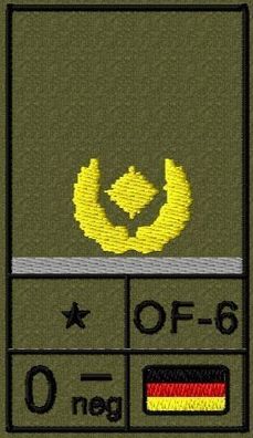Bundeswehr Rangabzeichen Klett, Graue Litze, Blutgruppe, Brigadegeneral