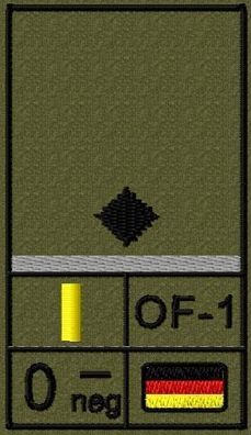 Bundeswehr Rangabzeichen Klett, Graue Litze, Blutgruppe, Leutnant
