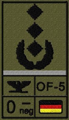 Bundeswehr Rangabzeichen Klett, Graue Litze, Blutgruppe, Oberst