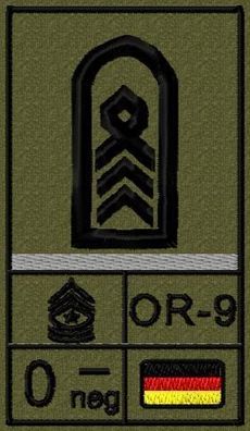 Bundeswehr Rangabzeichen Klett, Graue Litze, Blutgruppe, Oberstabsfeldwebel