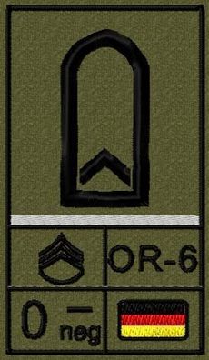 Bundeswehr Rangabzeichen mit NATO Rangcode und Blutgruppe, Heer, Fähnrich
