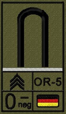 Bundeswehr Rangabzeichen mit NATO Rangcode und Blutgruppe, Heer, Fahnenjunker
