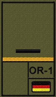 Bundeswehr Rangabzeichen mit NATO Rangcode und Goldgelber Litze, Heer