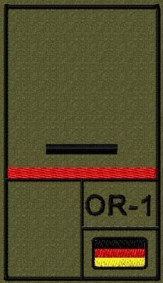 Bundeswehr Rangabzeichen mit NATO Rangcode und Hochroter Litze, Heer