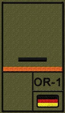 Bundeswehr Rangabzeichen mit NATO Rangcode und Oranger Litze, Heer