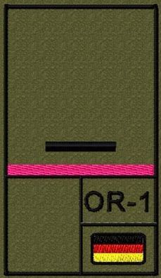 Bundeswehr Rangabzeichen mit NATO Rangcode und Rosa Litze, Heer