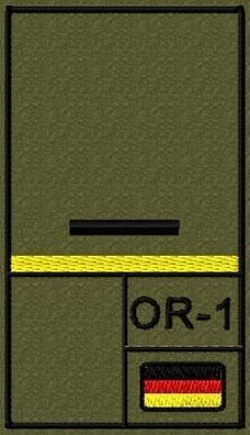Bundeswehr Rangabzeichen mit NATO Rangcode und Zitronengelber Litze, Heer