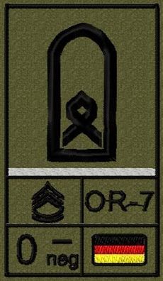 Bundeswehr Rangabzeichen mit NATO Rangcode und Blutgruppe, Heer, Oberfähnrich