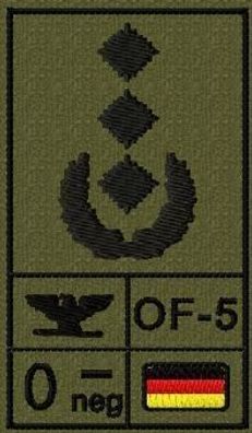 Bundeswehr Rangabzeichen mit NATO Rangcode und Blutgruppe, Heer, Oberst
