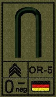 Bundeswehr Rangabzeichen mit NATO Rangcode und Blutgruppe, Heer, Unteroffizier