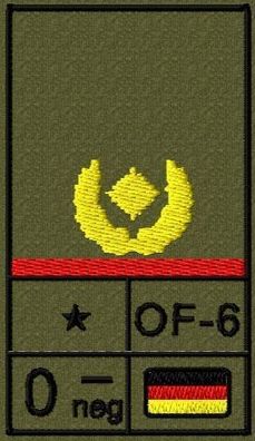 Bundeswehr Rangabzeichen Klett, Hochrote Litze, Blutgruppe, Brigadegeneral