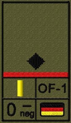 Bundeswehr Rangabzeichen Klett, Hochrote Litze, Blutgruppe, Leutnant