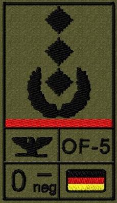 Bundeswehr Rangabzeichen Klett, Hochrote Litze, Blutgruppe, Oberst