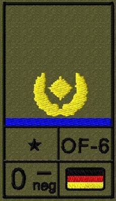 Bundeswehr Rangabzeichen Klett, Mittelblaue Litze, Blutgruppe, Brigadegeneral
