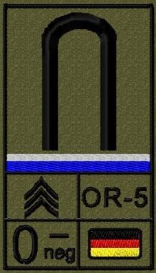 Bundeswehr Rangabzeichen Klett, Mittelblaue Litze, Blutgruppe, Fahnenjunker