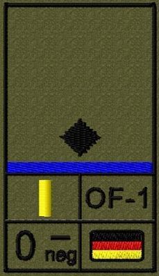 Bundeswehr Rangabzeichen Klett, Mittelblaue Litze, Blutgruppe, Leutnant