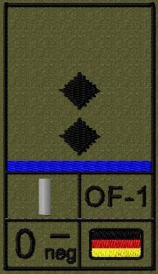 Bundeswehr Rangabzeichen Klett, Mittelblaue Litze, Blutgruppe, Oberleutnant