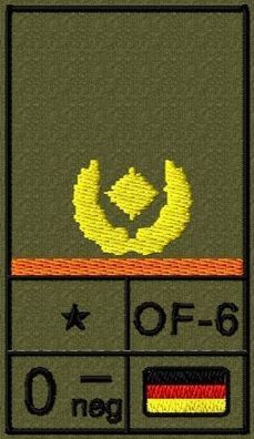 Bundeswehr Rangabzeichen Klett, Orange Litze, Blutgruppe, Brigadegeneral