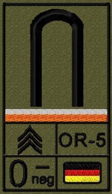 Bundeswehr Rangabzeichen Klett, Orange Litze, Blutgruppe, Fahnenjunker