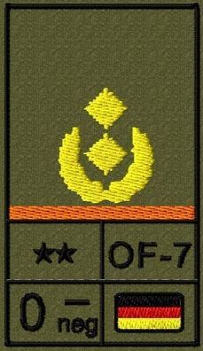 Bundeswehr Rangabzeichen Klett, Orange Litze, Blutgruppe, Generalmajor