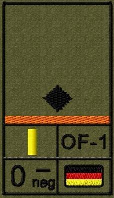 Bundeswehr Rangabzeichen Klett, Orange Litze, Blutgruppe, Leutnant