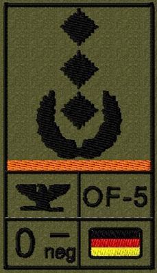 Bundeswehr Rangabzeichen Klett, Orange Litze, Blutgruppe, Oberst
