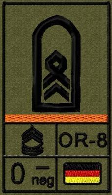 Bundeswehr Rangabzeichen Klett, Orange Litze, Blutgruppe, Stabsfeldwebel