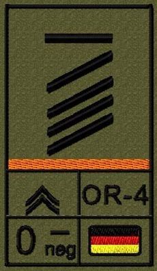 Bundeswehr Rangabzeichen Klett, Orange Litze, Blutgruppe, Stabsgefreiter UA
