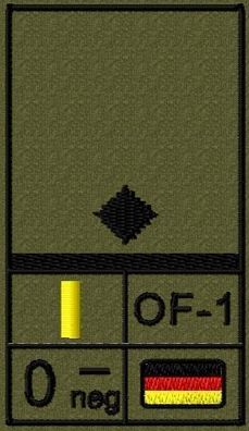 Bundeswehr Rangabzeichen Klett, Schwarze Litze, Blutgruppe, Leutnant
