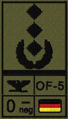 Bundeswehr Rangabzeichen Klett, Schwarze Litze, Blutgruppe, Oberst