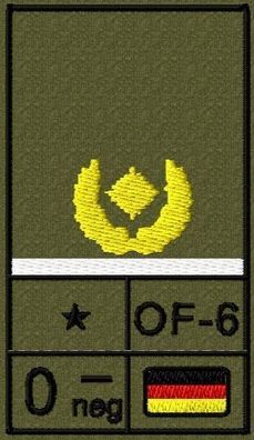 Bundeswehr Rangabzeichen Klett, Weiße Litze, Blutgruppe, Brigadegeneral