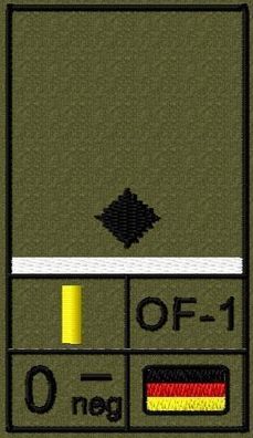 Bundeswehr Rangabzeichen Klett, Weiße Litze, Blutgruppe, Leutnant