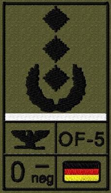Bundeswehr Rangabzeichen Klett, Weiße Litze, Blutgruppe, Oberst