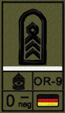 Bundeswehr Rangabzeichen Klett, Weiße Litze, Blutgruppe, Oberstabsfeldwebel
