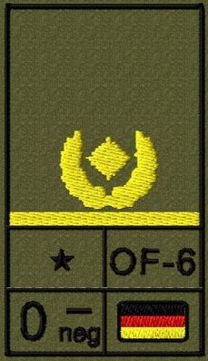 Bundeswehr Rangabzeichen Klett, Zitronengelbe Litze, Blutgruppe, Brigadegeneral